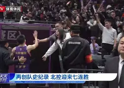 爱游戏全站-科维托娃与莱巴金娜比赛视频回放