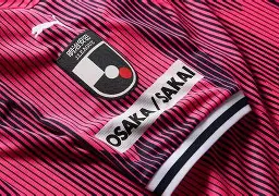 爱游戏全站-大阪樱花球队