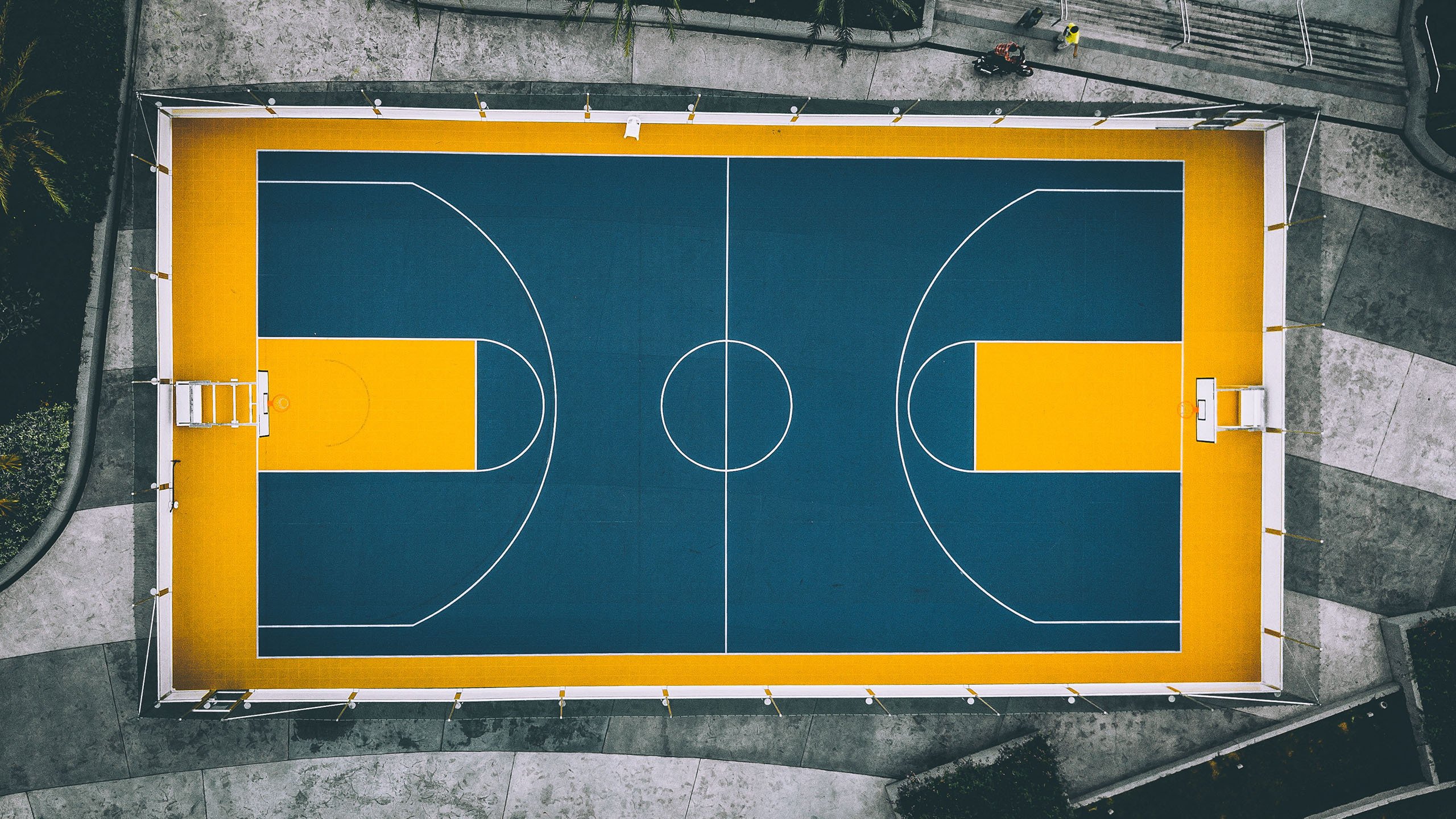 独家，当足总杯每场比赛都成为必修课，我看到了足球最本真的模样，足总杯的强制必修课，让我看见了足球最真诚的模样